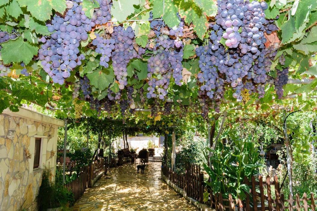 Agia  Dimitris'S Country House מראה חיצוני תמונה
