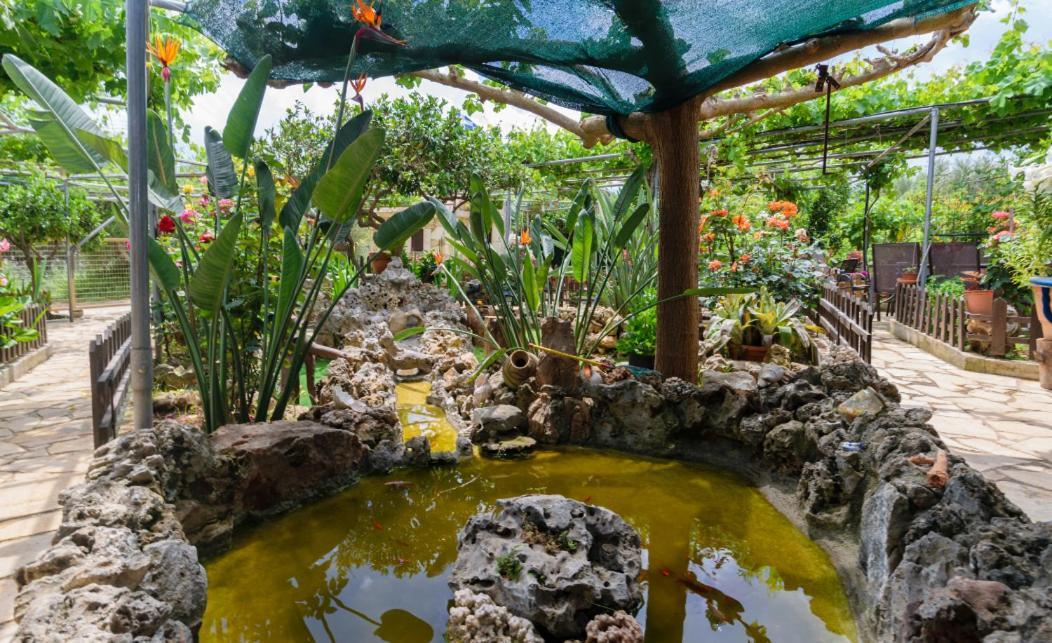Agia  Dimitris'S Country House מראה חיצוני תמונה