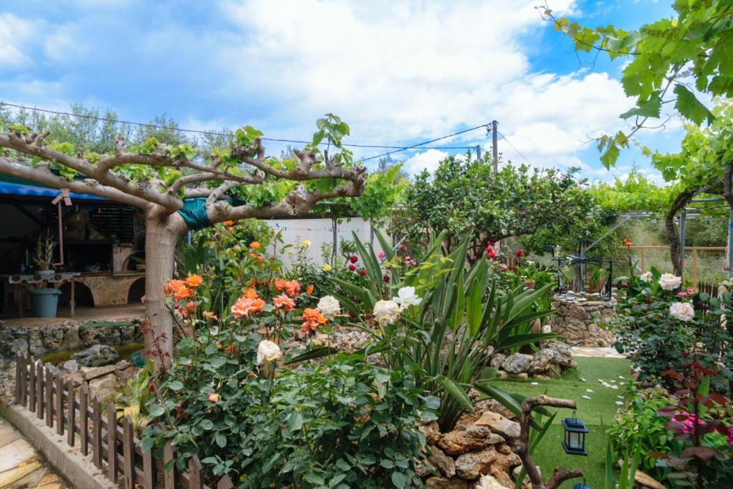 Agia  Dimitris'S Country House מראה חיצוני תמונה