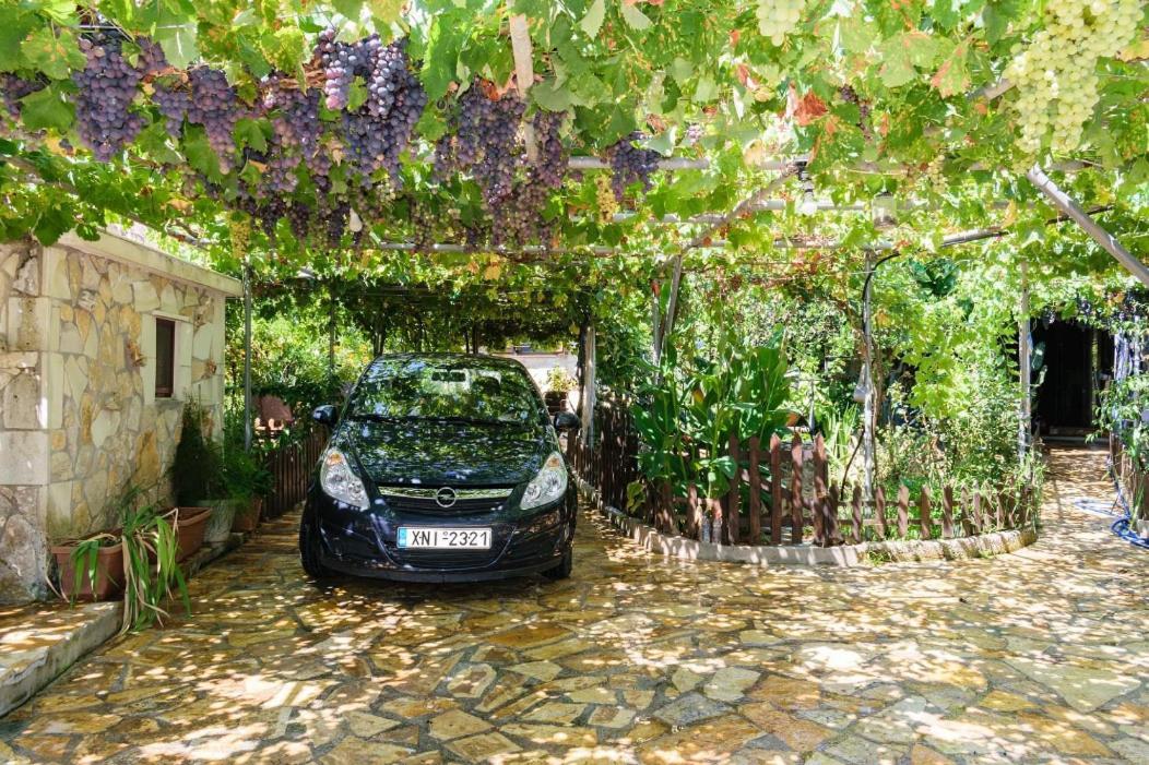 Agia  Dimitris'S Country House מראה חיצוני תמונה
