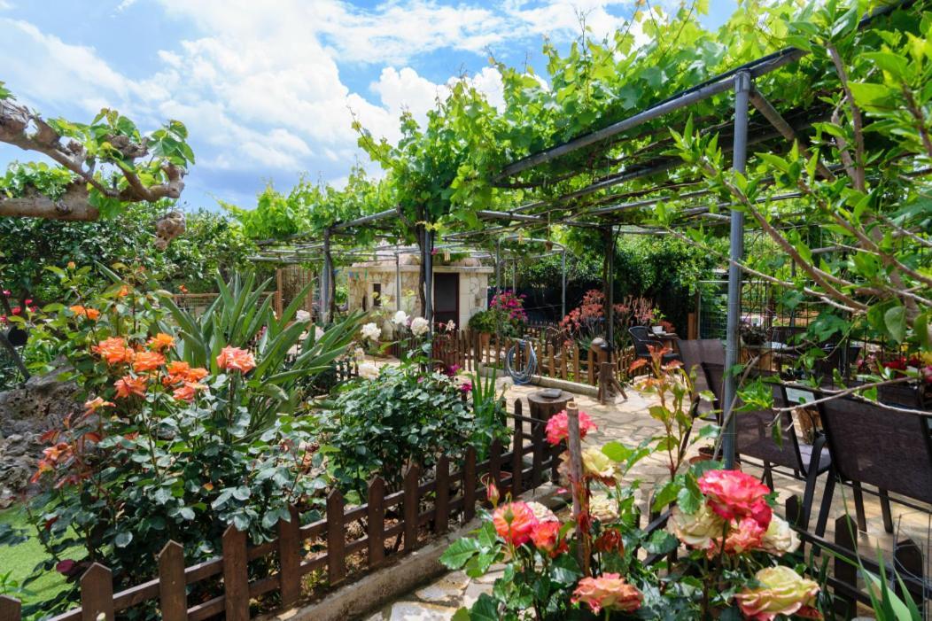 Agia  Dimitris'S Country House מראה חיצוני תמונה