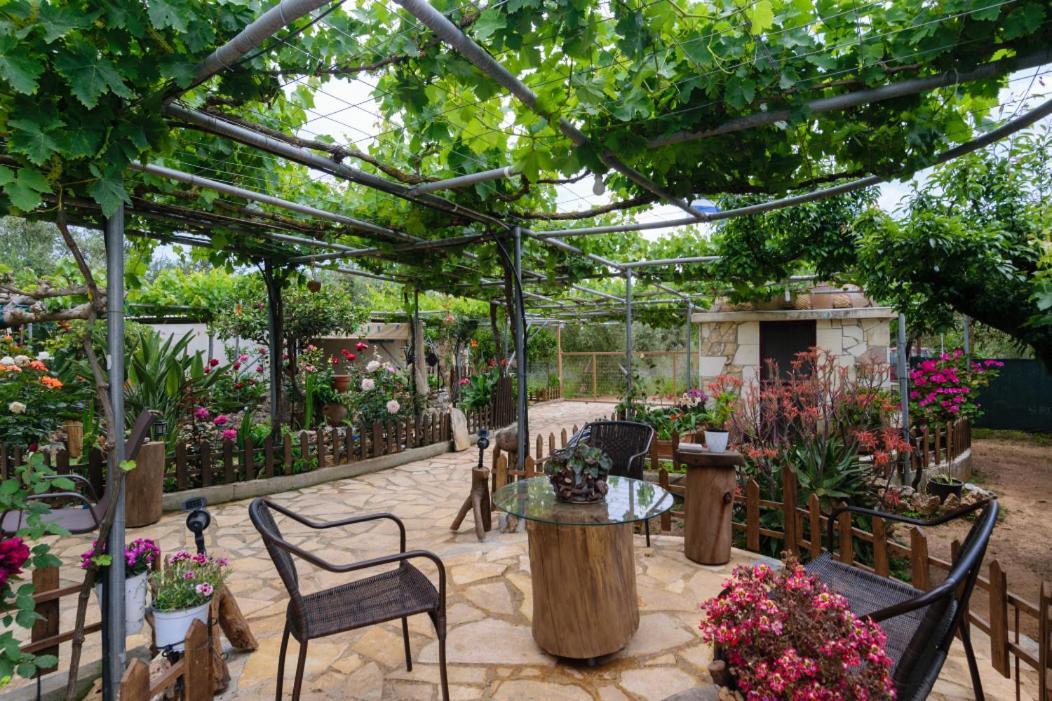 Agia  Dimitris'S Country House מראה חיצוני תמונה
